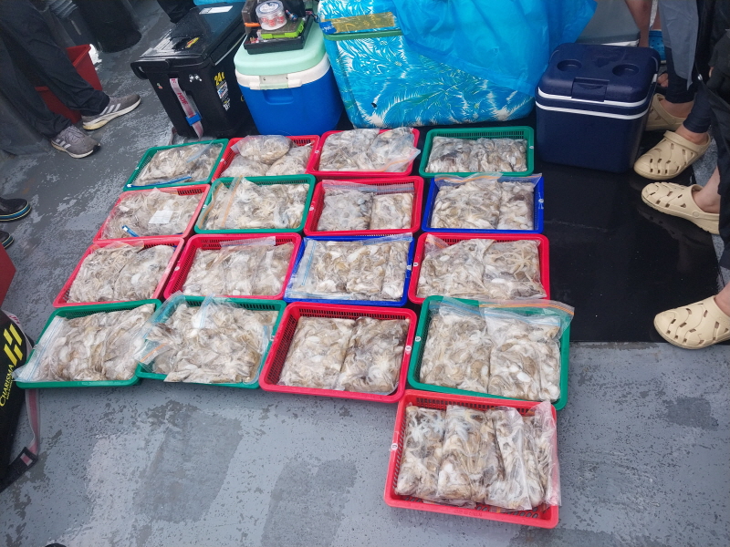 나르샤호 조황갤러리입니다.