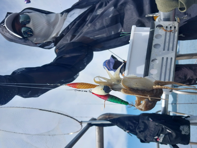 나르샤호 조황갤러리입니다.