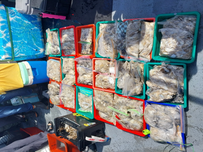 나르샤호 조황갤러리입니다.