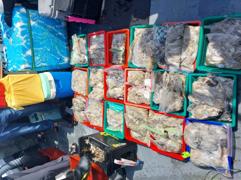 나르샤호 조황갤러리입니다.