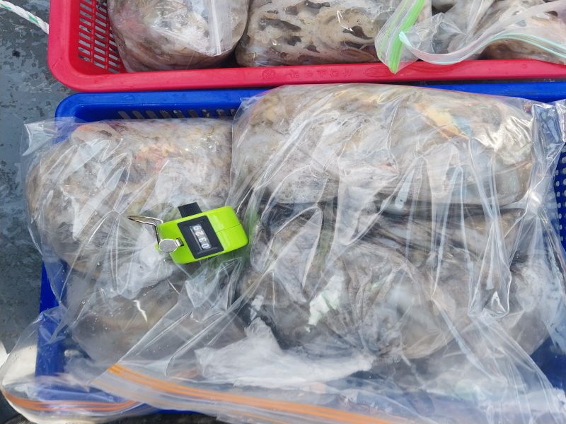 나르샤호 조황갤러리입니다.