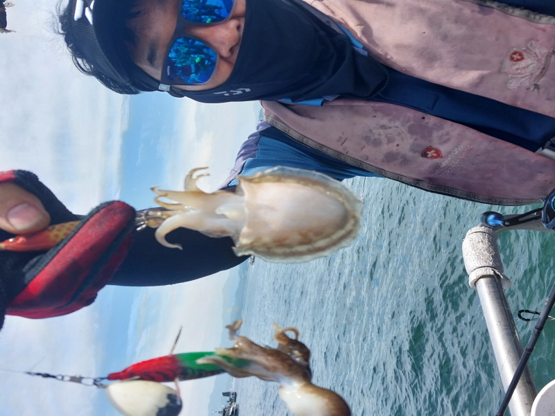 나르샤호 조황갤러리입니다.