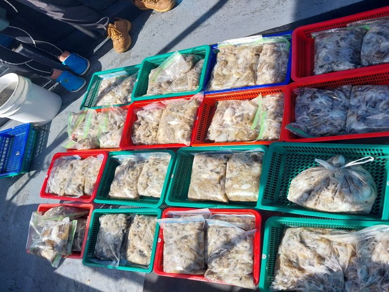 나르샤호 조황갤러리입니다.