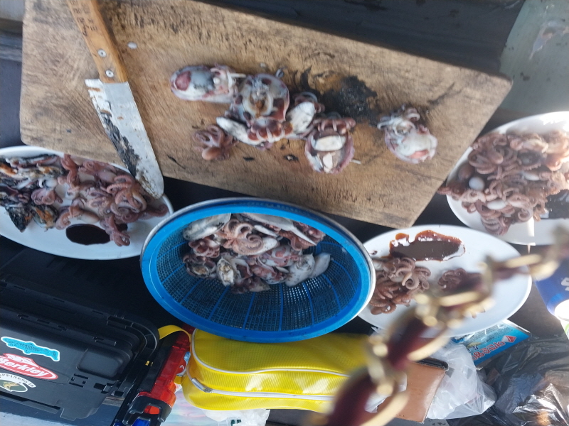 나르샤호 조황갤러리입니다.