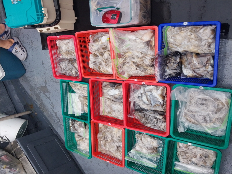 나르샤호 조황갤러리입니다.