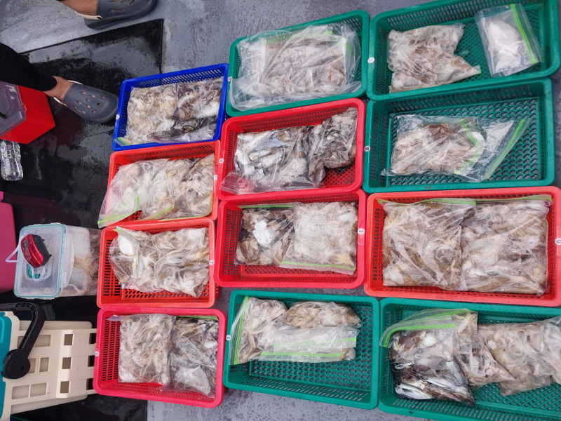 나르샤호 조황갤러리입니다.