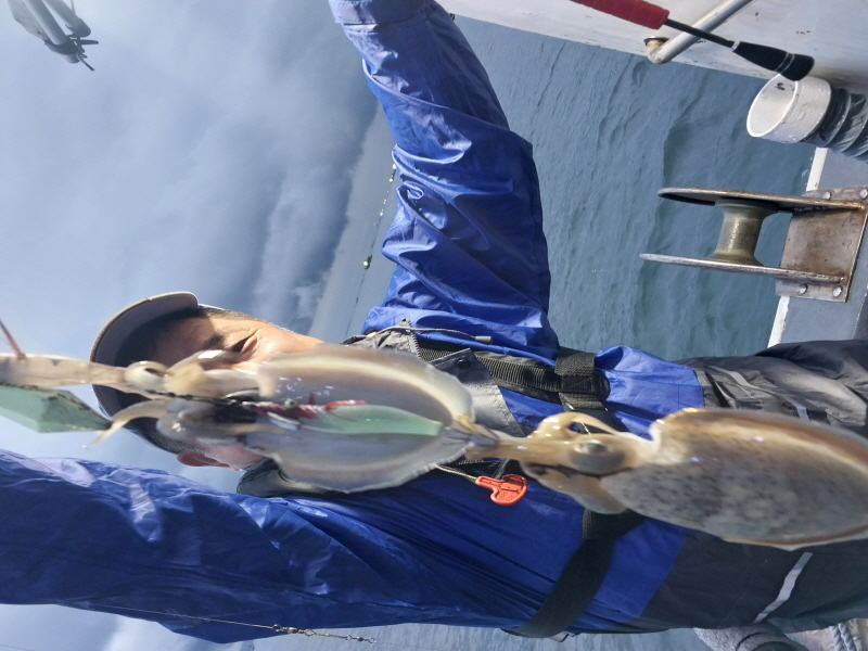 나르샤호 조황갤러리입니다.