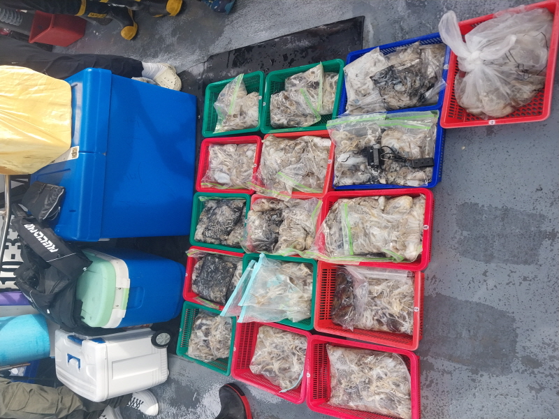 나르샤호 조황갤러리입니다.