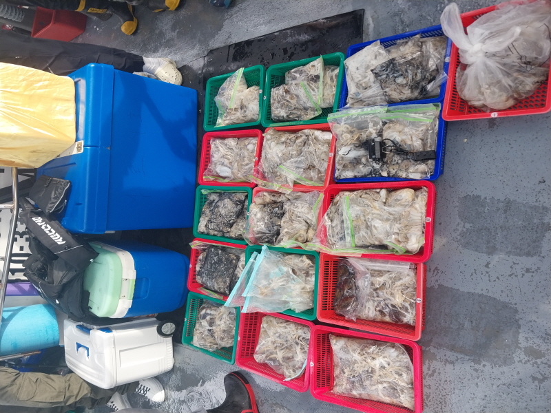 나르샤호 조황갤러리입니다.