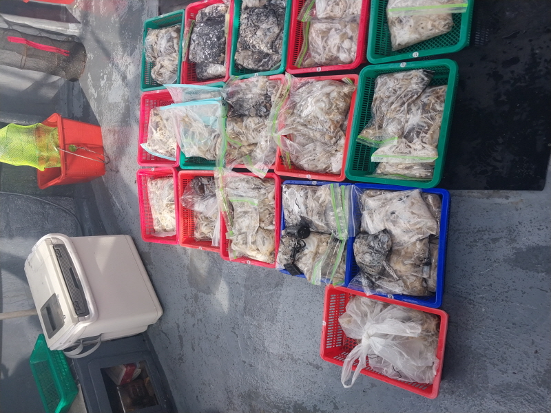 나르샤호 조황갤러리입니다.