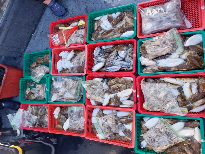 나르샤호 조황갤러리입니다.