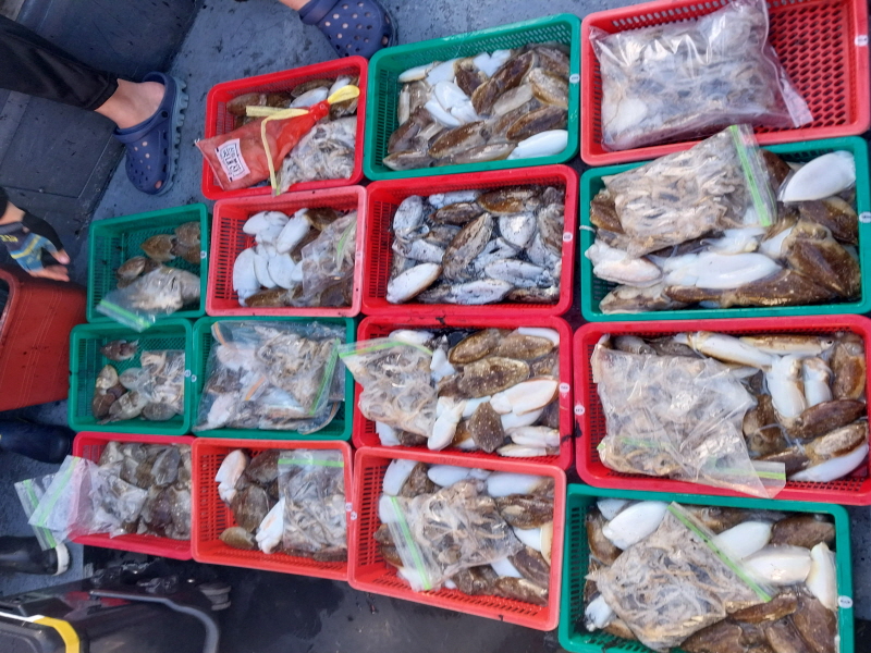 나르샤호 조황갤러리입니다.