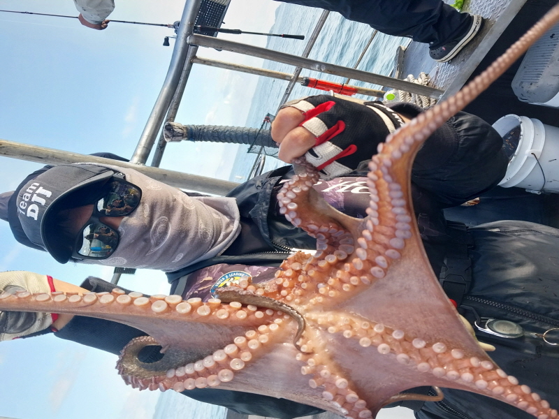 나르샤호 조황갤러리입니다.