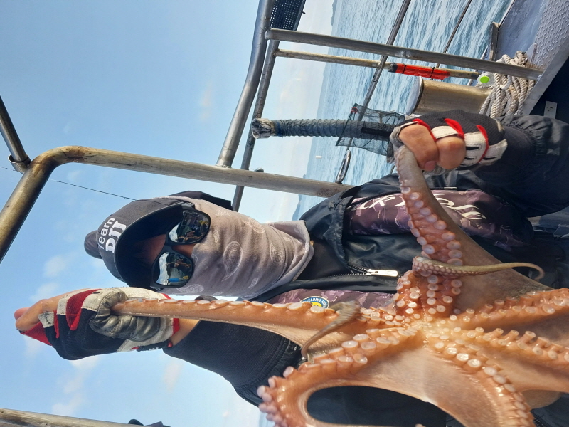 나르샤호 조황갤러리입니다.