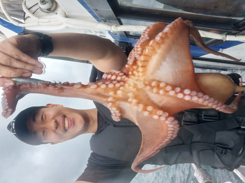 나르샤호 조황갤러리입니다.