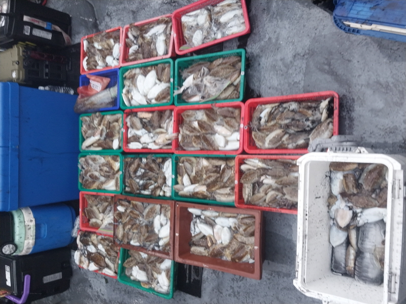 나르샤호 조황갤러리입니다.