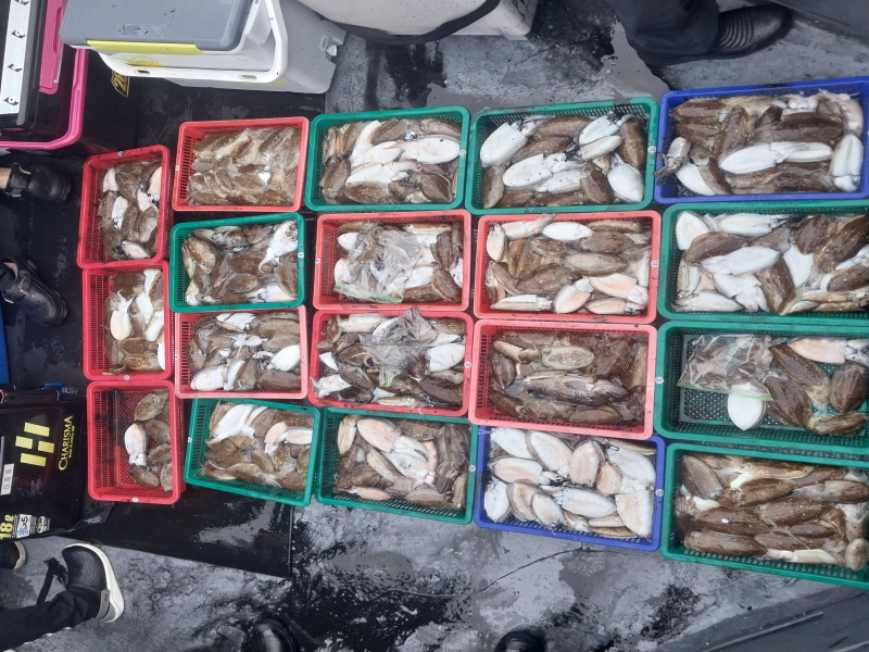 나르샤호 조황갤러리입니다.