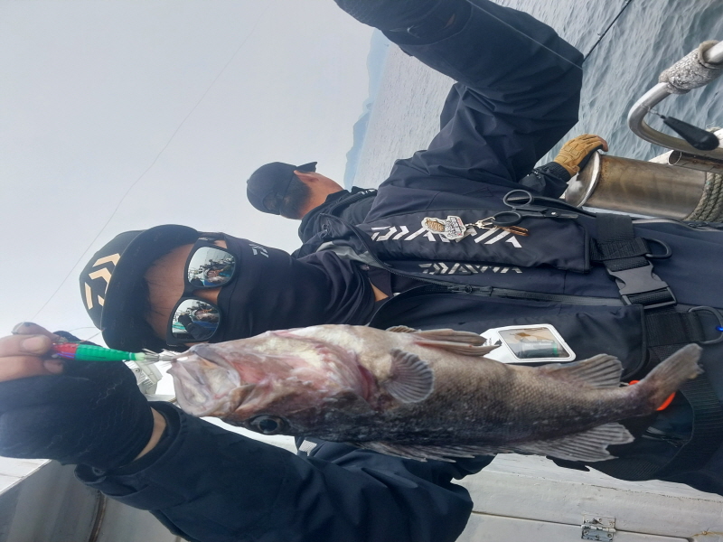 나르샤호 조황갤러리입니다.