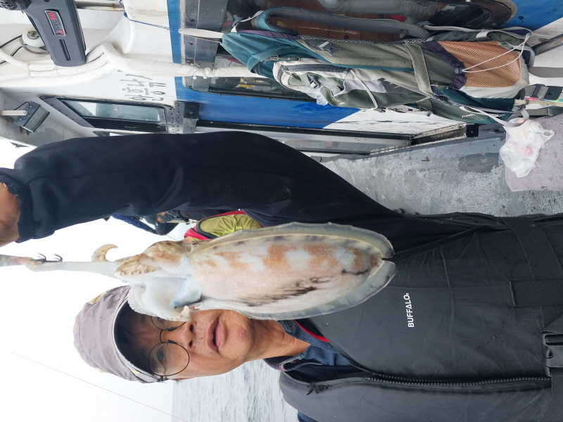 나르샤호 조황갤러리입니다.