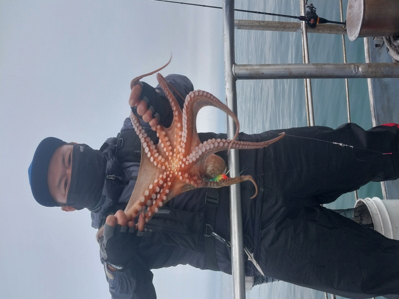 나르샤호 조황갤러리입니다.