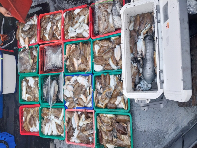 나르샤호 조황갤러리입니다.