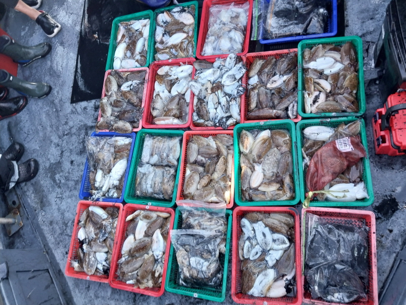 나르샤호 조황갤러리입니다.