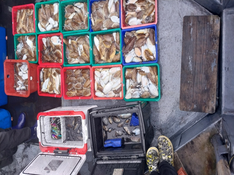 나르샤호 조황갤러리입니다.