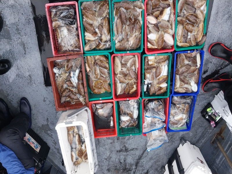 나르샤호 조황갤러리입니다.