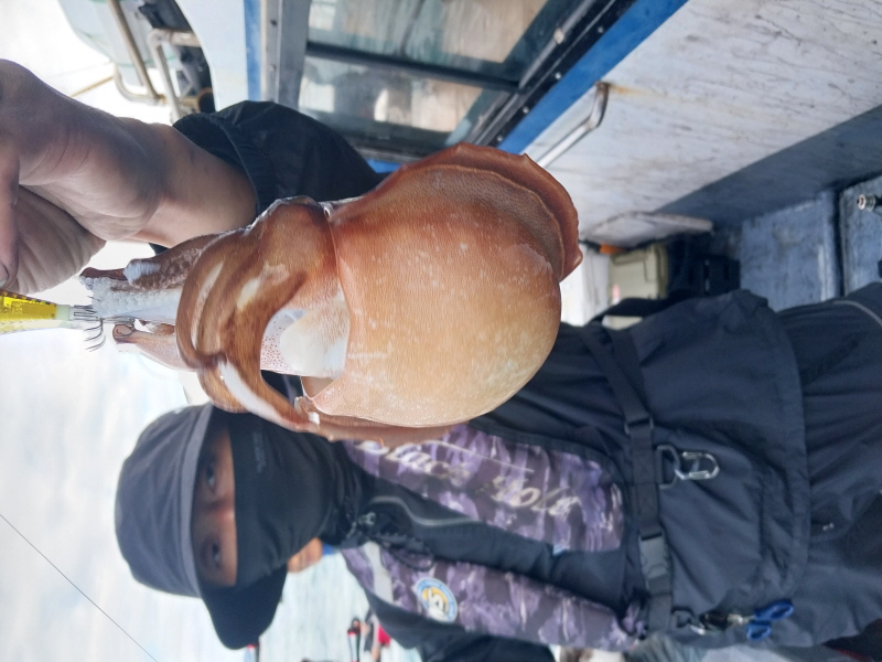 나르샤호 조황갤러리입니다.