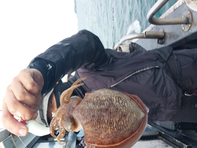 나르샤호 조황갤러리입니다.