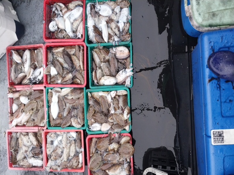 나르샤호 조황갤러리입니다.