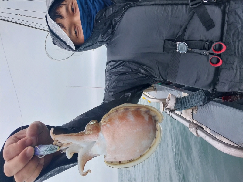 나르샤호 조황갤러리입니다.