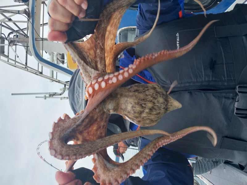 나르샤호 조황갤러리입니다.