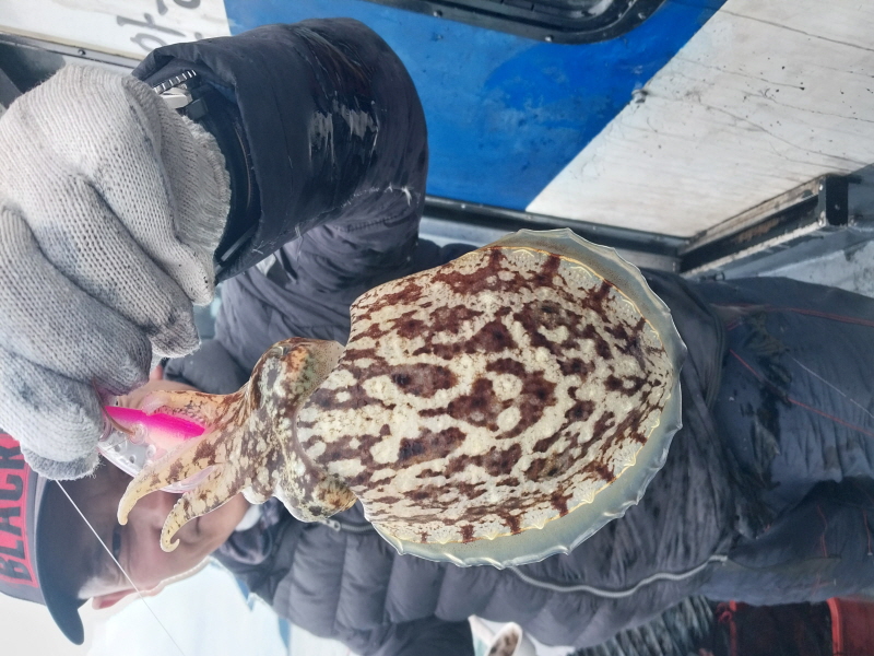 나르샤호 조황갤러리입니다.