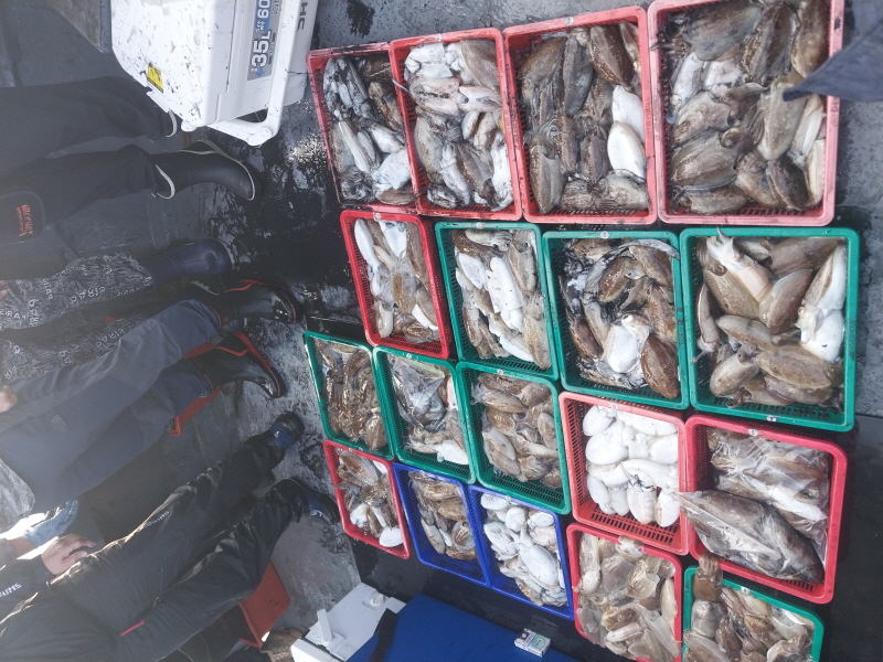 나르샤호 조황갤러리입니다.