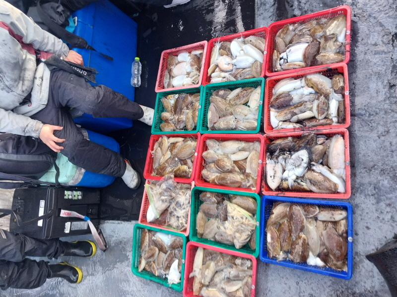 나르샤호 조황갤러리입니다.