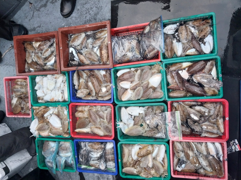 나르샤호 조황갤러리입니다.