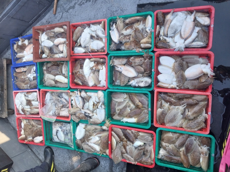 나르샤호 조황갤러리입니다.