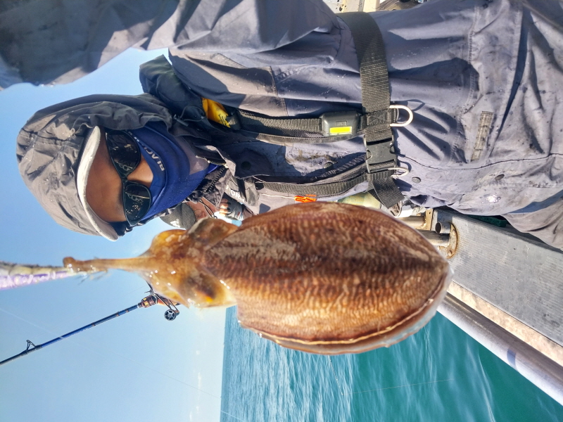 나르샤호 조황갤러리입니다.