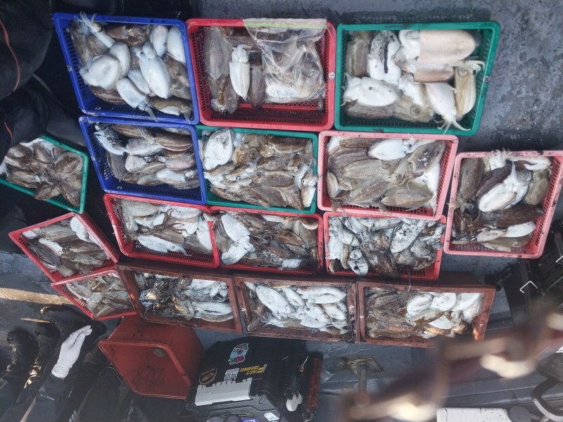 나르샤호 조황갤러리입니다.