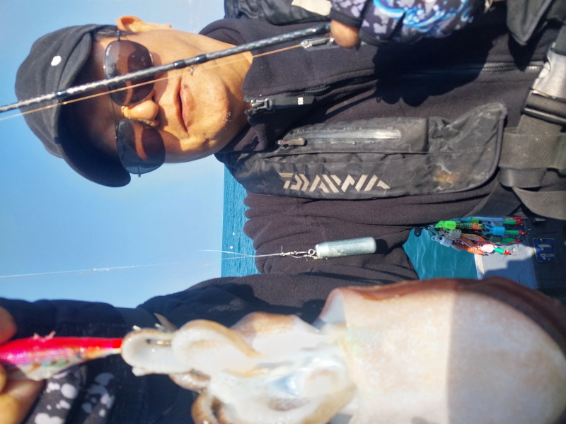 나르샤호 조황갤러리입니다.