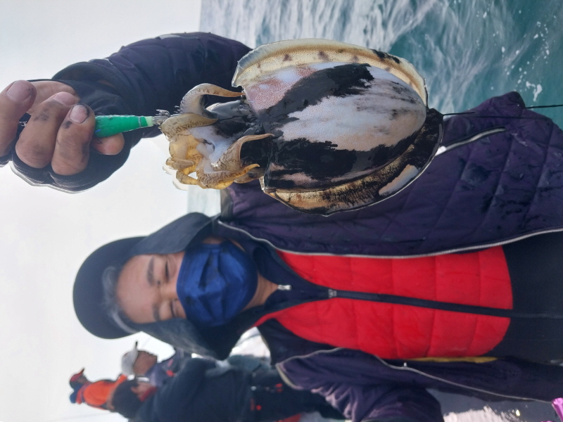 나르샤호 조황갤러리입니다.