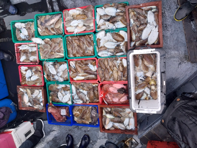 나르샤호 조황갤러리입니다.