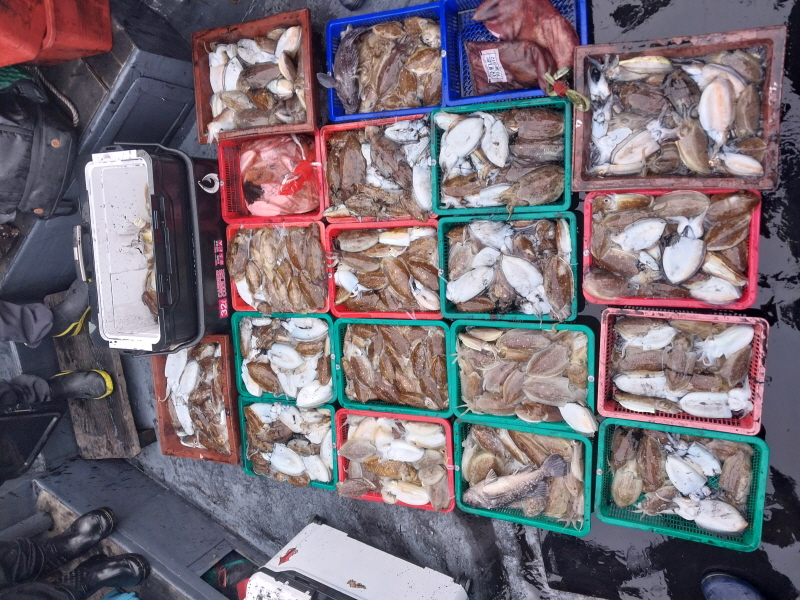 나르샤호 조황갤러리입니다.