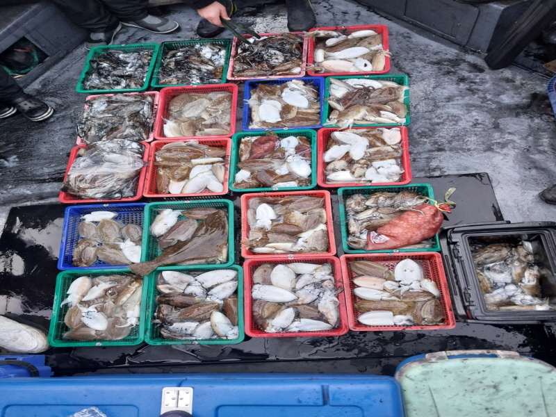 나르샤호 조황갤러리입니다.