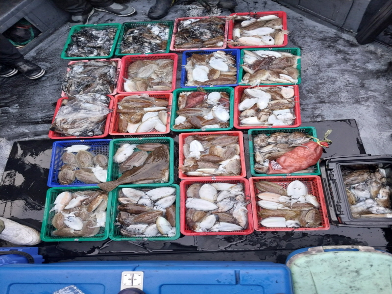 나르샤호 조황갤러리입니다.