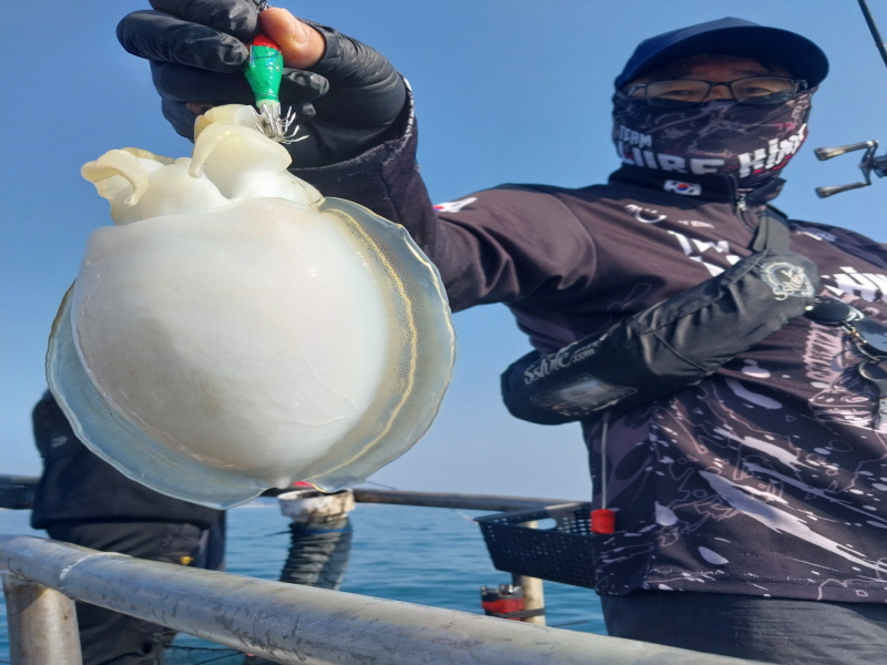 나르샤호 조황갤러리입니다.