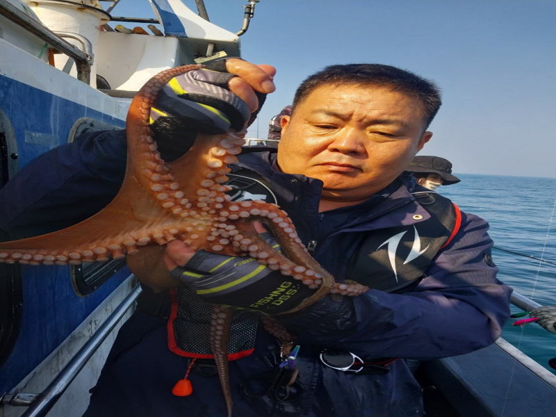 나르샤호 조황갤러리입니다.