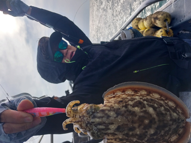 나르샤호 조황갤러리입니다.