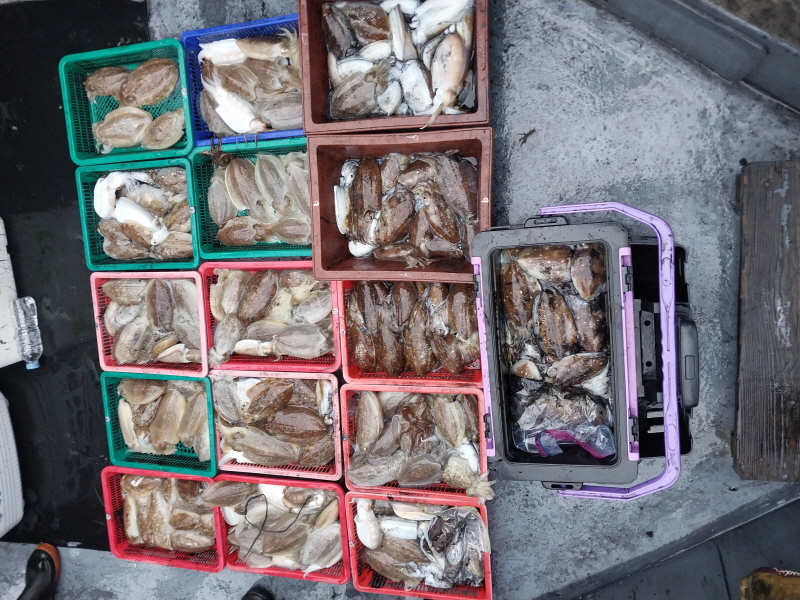 나르샤호 조황갤러리입니다.